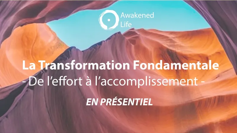 La Transformation Fondamentale - De l'effort à l'accomplissement - EN PRÉSENTIEL